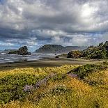 USA, Oregon, Silver Falls State Park-Joe Restuccia III-Photographic Print