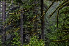 USA, Oregon, Silver Falls State Park, South Falls-Joe Restuccia III-Photographic Print