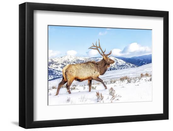 Photographic Print, , large