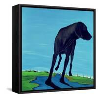 Joe's Black Dog (New View), 2000-Marjorie Weiss-Framed Stretched Canvas
