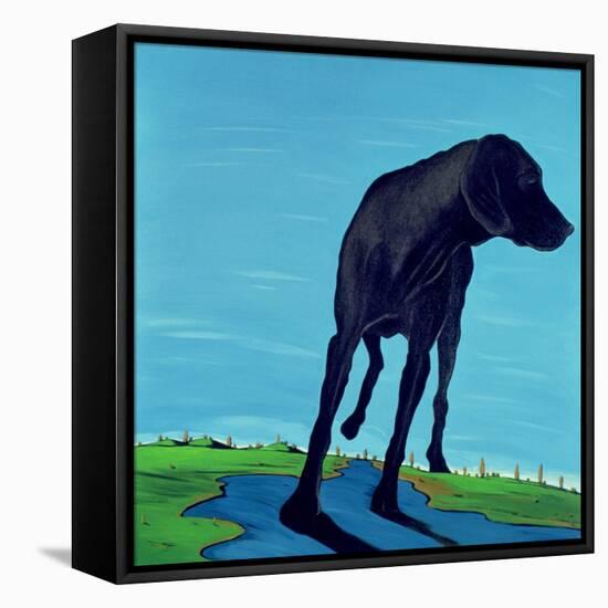 Joe's Black Dog (New View), 2000-Marjorie Weiss-Framed Stretched Canvas