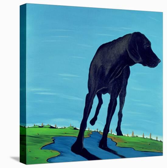 Joe's Black Dog (New View), 2000-Marjorie Weiss-Stretched Canvas