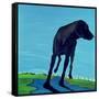 Joe's Black Dog (New View), 2000-Marjorie Weiss-Framed Stretched Canvas