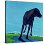 Joe's Black Dog (New View), 2000-Marjorie Weiss-Stretched Canvas