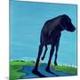 Joe's Black Dog (New View), 2000-Marjorie Weiss-Mounted Giclee Print