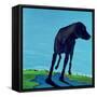 Joe's Black Dog (New View), 2000-Marjorie Weiss-Framed Stretched Canvas