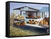 Joe's Vegetable Stand-Kevin Dodds-Framed Stretched Canvas