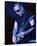 Joe Satriani-null-Stretched Canvas