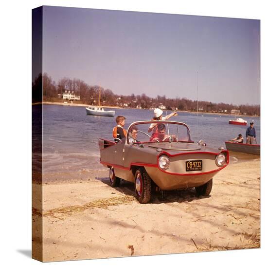 Stretched Canvas Print, , large