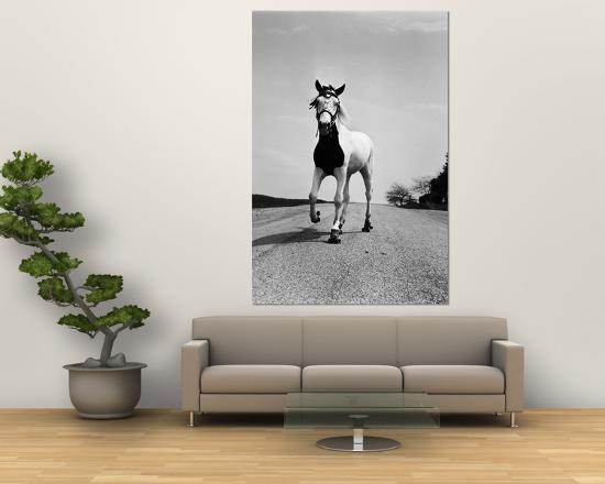 Giant Art Print, , large