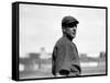 Joe Tinker, Cincinnati Reds, Baseball Photo - Cincinnati, OH-Lantern Press-Framed Stretched Canvas