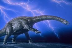 Apatosaurus Dinosaur-Joe Tucciarone-Photographic Print