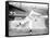 Joe Wood, Boston Red Sox, Baseball Photo No.5 - Boston, MA-Lantern Press-Framed Stretched Canvas