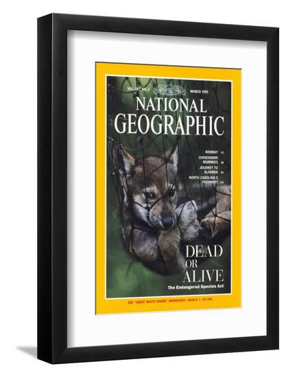 Premium Photographic Print, , large