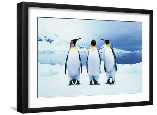Premium Photographic Print, , large