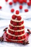 Small Raspberry Cake with Star Anise-Joerg Lehmann-Photographic Print