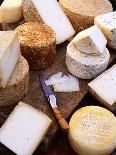 Various Types of Cheese from the Basque Region-Joerg Lehmann-Photographic Print