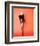 Joey Heatherton-null-Framed Photo