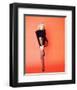 Joey Heatherton-null-Framed Photo