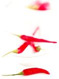 Sprig of Holly in Festive Red Glass on Cushion-Joff Lee-Photographic Print