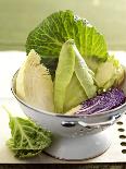 Various Types of Cabbage in a Strainer-Joff Lee-Photographic Print