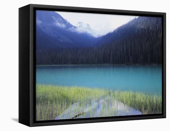 Joffre Lakes Provincial Park, Lower Joffre Lake Color by Glacial Silt-Christopher Talbot Frank-Framed Stretched Canvas