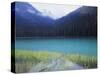 Joffre Lakes Provincial Park, Lower Joffre Lake Color by Glacial Silt-Christopher Talbot Frank-Stretched Canvas