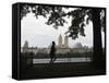 Jogger, Central Park, Manhattan, New York City, New York, USA-Amanda Hall-Framed Stretched Canvas
