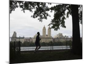 Jogger, Central Park, Manhattan, New York City, New York, USA-Amanda Hall-Mounted Photographic Print