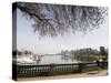 Jogger Running on the Waterfront in Coal Harbour, Vancouver, British Columbia, Canada-Christian Kober-Stretched Canvas