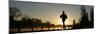 Jogger Silhouetted Against the Rising Sun as He Runs Past the Serpentine Lake in Hyde Park, London-null-Mounted Premium Photographic Print