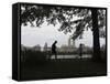Joggers, Central Park, Manhattan, New York City, New York, USA-Amanda Hall-Framed Stretched Canvas