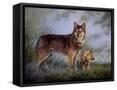Framed Canvas