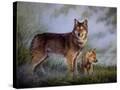 Stretched Canvas