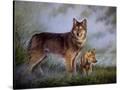 Stretched Canvas
