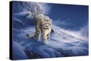 Stretched Canvas
