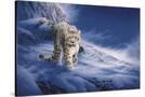 Stretched Canvas