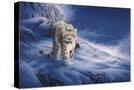 Stretched Canvas