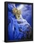 Essential Black