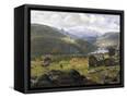 Canvas Black