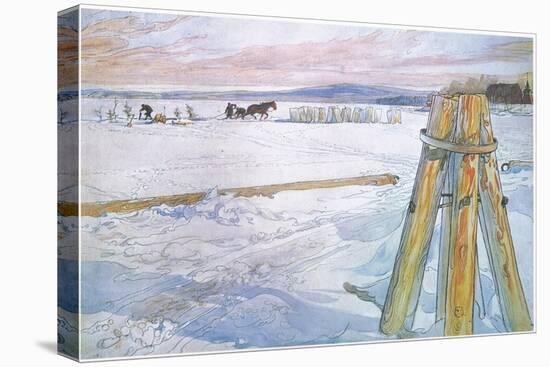 Johan Fetched Brunte (Horse) to Collect Blocks of Ice-Carl Larsson-Stretched Canvas
