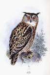 Eagle Owl-Johan Gerard Keulemans-Giclee Print