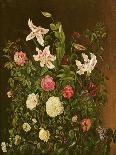 Bouquet of Pink Camellias and Primula on Marble Ledge-Johan Laurentz Jensen-Framed Giclee Print