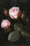 Roses-Johan Laurentz Jensen (Attr to)-Stretched Canvas