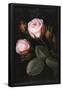 Essential Black