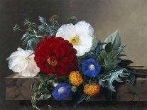 Bouquet of Pink Camellias and Primula on Marble Ledge-Johan Laurentz Jensen-Giclee Print