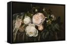 Canvas Black