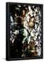 Essential Black