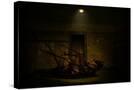 Stretched Canvas