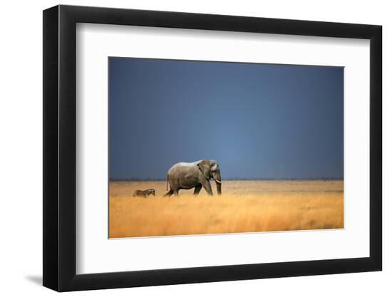 Photographic Print, , large